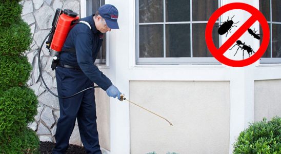 Vakfıkebir Akrep İlaçlama böcek ilaçlama ve haşere kontrolü — ilaclama-tr.com